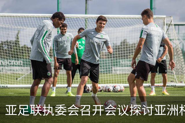 亚足联执委会召开会议探讨亚洲杯延期事宜，中国足协主席宋凯出席